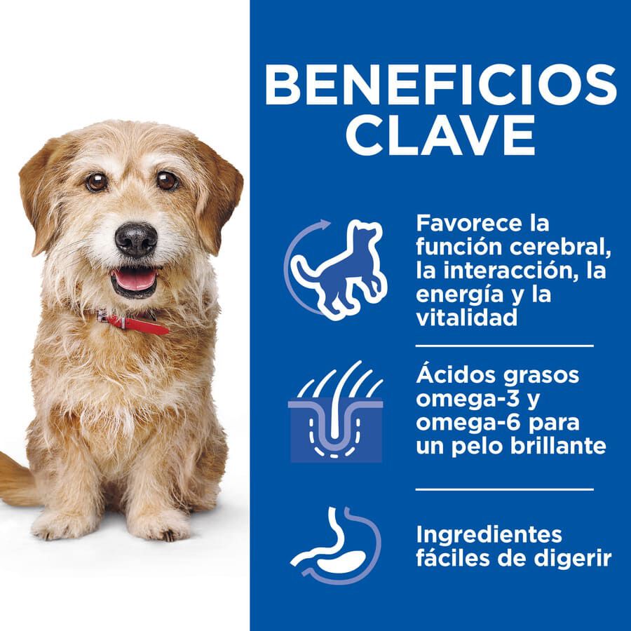 12 saquetas x 80 g Hill's Adult Senior Smalle Mini Science Plan Canine Mature Guisado de Frango saqueta para c&atilde;es  Pack poupan&ccedil;a!, , large Imagem n&uacute;mero 4